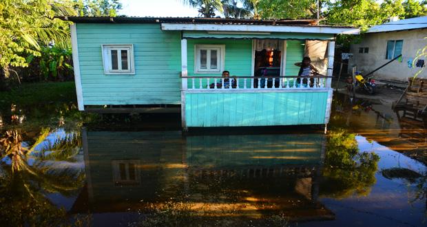 The state yesterday of Bibi Kasim’s submerged yard at Felicity