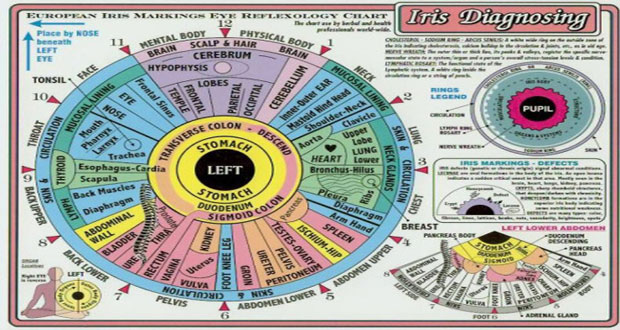 ‘IRIDOLOGY’: The word ‘iris’ is Greek and means ‘rainbow’ or ‘halo’. The iris is the colourful portion of the eye that surrounds the pupil