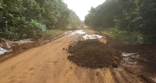 A section of the Linden to Lethem Road