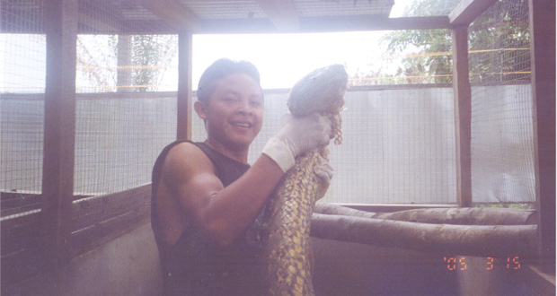 Leon Bento, who was only 16 when this photo was taken 10 years ago, lifts a 22-feet anaconda at the Surama zoo. Bento was in charge of two anacondas at the
time. Surama , in Region Nine, is now a model for community tourism and is the hometown of Guyana’s Minister of Indigenous People’s Affairs, Sydney Allicock