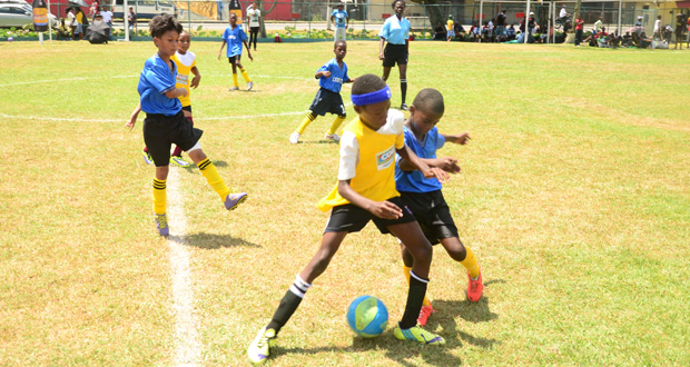 This Adrian Narine photo shows some of the Pee Wee action between St Agnes (yellow) and Marian Academy in the COURTS U-11 School Tournament at the Banks DIH ground, yesterday.