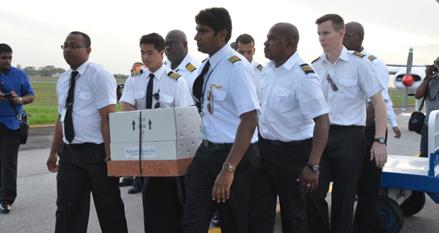 Pilots bearing the body of Captain Alvin Clarke during the hero’s welcome given  him by Captain Gerry Gouveia and Roraima Airways