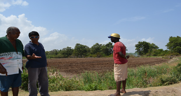 Members of the development team for the recreational park. From left: Seeram Oudho; Dr Kamal Roy Narine; and Chairman of the park project, Roberto Stewart, in discussion at the site of the recently-ploughed ground