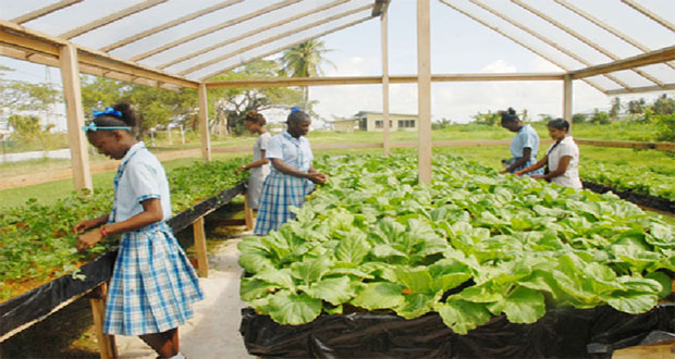 The House has approved $34.62M for the construction of shade houses in support of the agricultural programme being executed in five secondary schools in Region 9