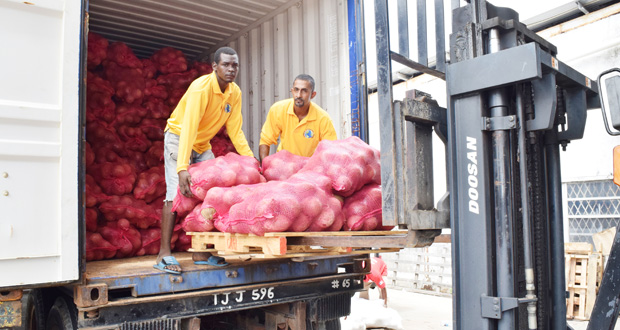 Coconuts being loaded into a container for export