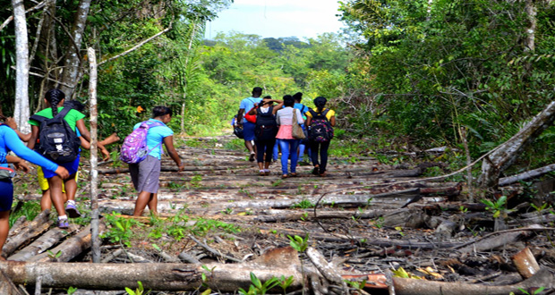 Participants walk along the Koberimo roadway, which is undergoing upgrade