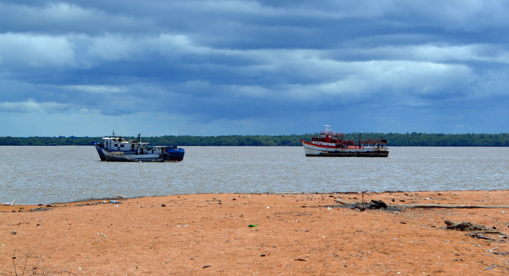 Scenes from Shell Beach - Guyana Chronicle