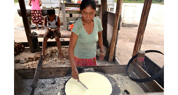 Cassava Nation - Guyana Chronicle