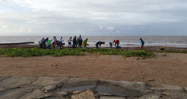 Deputy Mayor of Georgetown Sherod Duncan among those who joined the US Embassy ‘Take time Tuesday’ clean-up campaign at the Georgetown Seawall last Tuesday.
