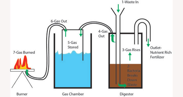 Digester-Cycle