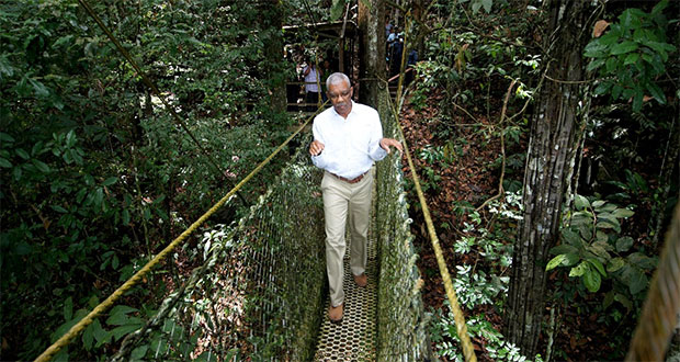President David Granger is the first sitting President to cross the canopy walkway at Iwokrama