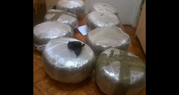 The confiscated compressed cannabis that was seized