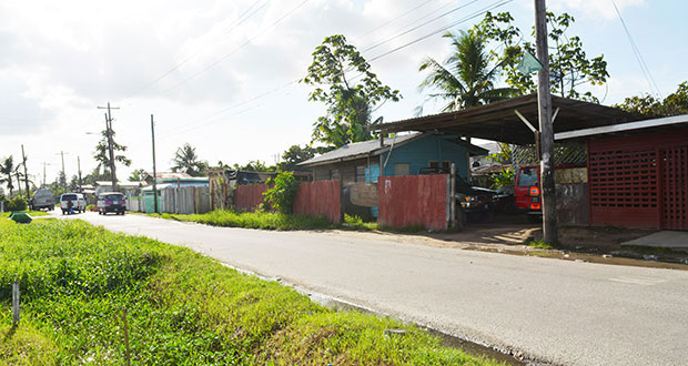 File photo: Houses erected by squatters along West Ruimveldt Front Road, Georgetown