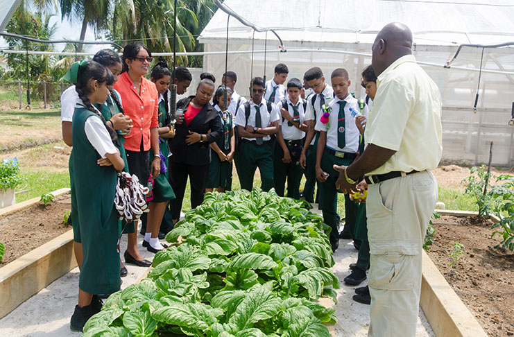 Students of the West Demerara Secondary are schooled on plant methods during the Open Day (Delano Williams photos)