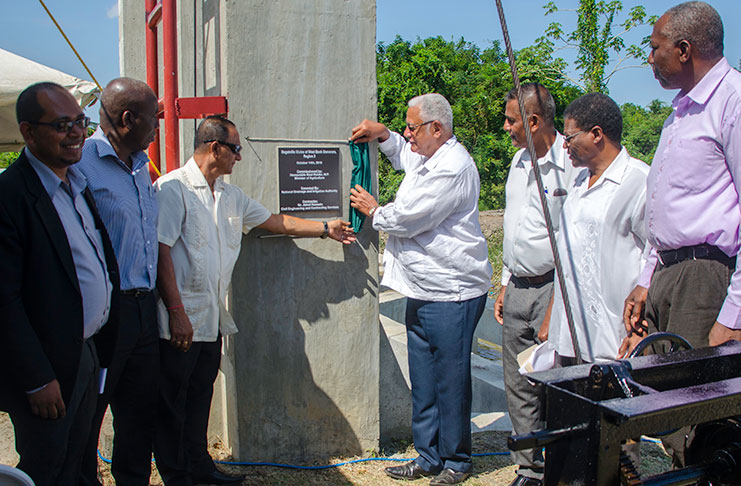 Region Three Chairman Julius Faerber and Minister of Agriculture Noel Holder unveil the plaque to commission the Bagotville sluice (Delano Williams photo)