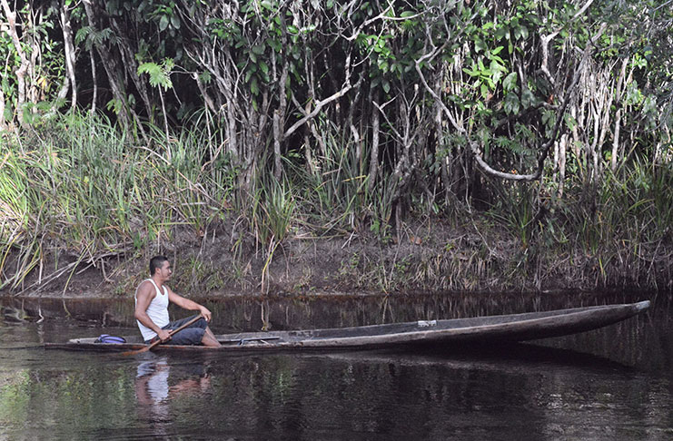 Rowing along the placid Mahaicony River