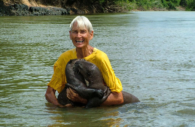 The “Otter Lady” in her element with her pets,the giant otters