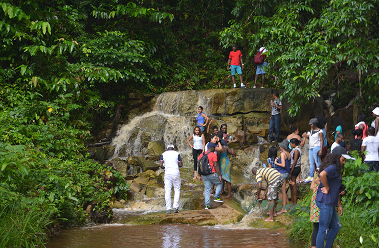 Fellow tourists gathered at the Baracari Waterfalls