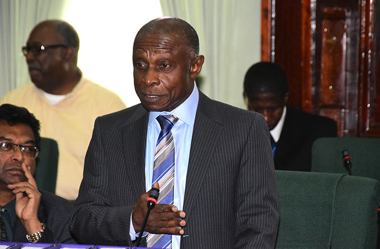 Vice-President and Minister of Foreign Affairs,Carl Greenidge, making his case in Parliament