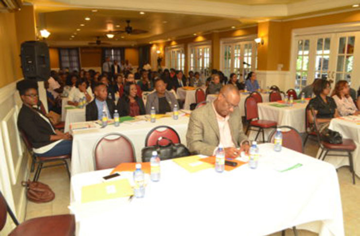State legal practitioners and other participants at the training session