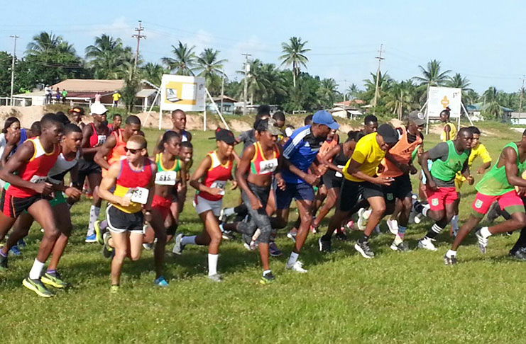 And they’re off! Some of the participants in last Sunday’s Cross Country held in Linden