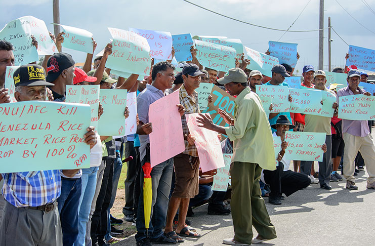 Rice farmers displaying their placards in protest over the increase in land rent [Samuel Maughn photo]