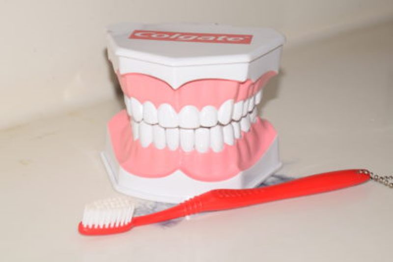 Demonstrative material used to carry out oral health educational sessions in schools