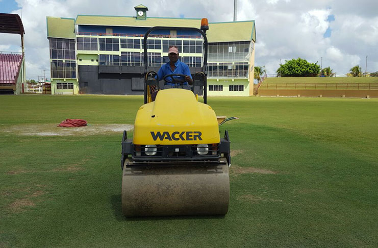 Flashback: Head curator Wasim Habib putting in the final touches to the re-layed pitches.