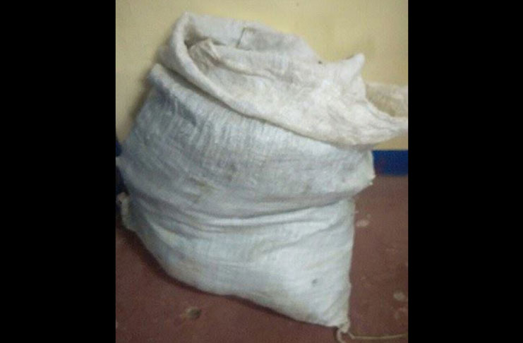 The bag in which the illegal drugs were found