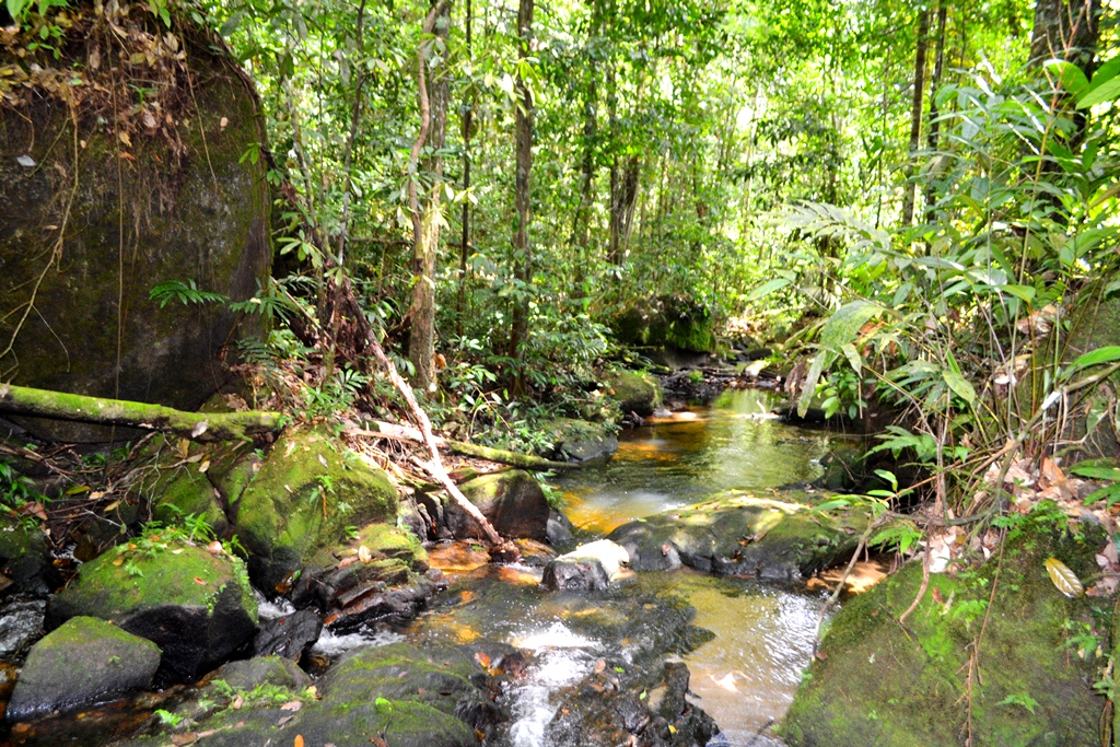 A journey to Mowra Falls near Mabaruma - Guyana Chronicle