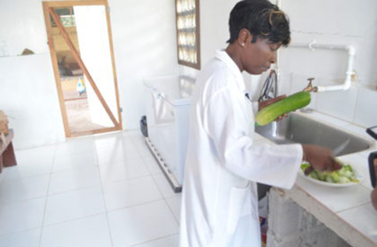 Diana Plowell preparing to make cucumber pepper sauce