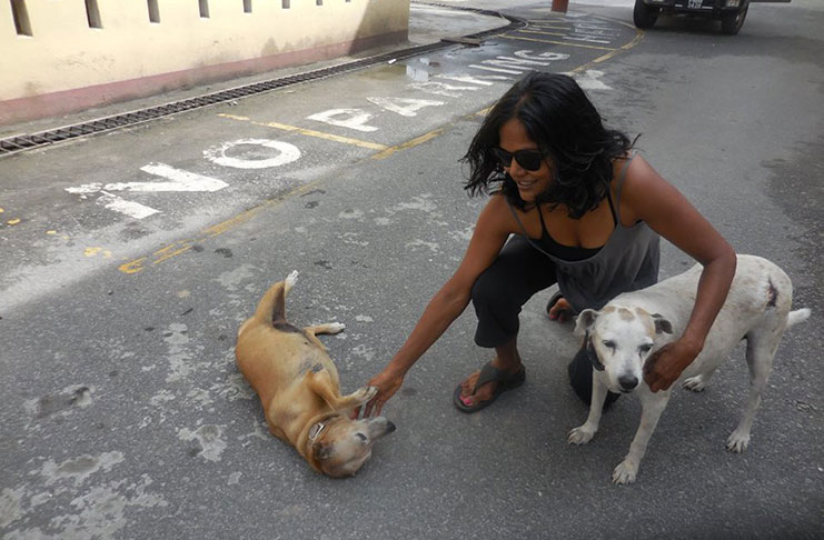Animal activist Syaeda Manbodh during one of her visits at the High Court with Lulu and Pumpkin.