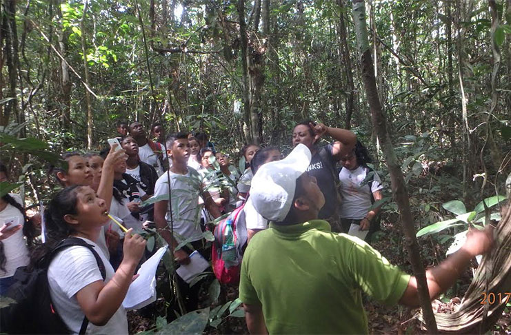 Students observing one of the plants in its natural habitat during their trip to the Iwokrama rainforest last week