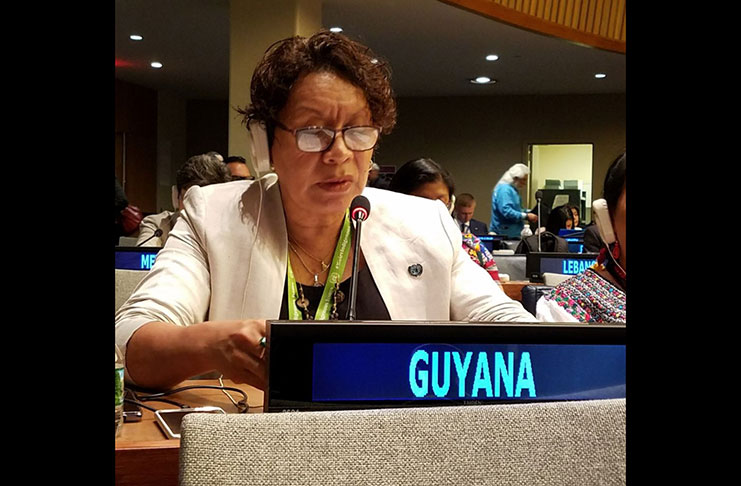 Minister within the Ministry of Indigenous Peoples’ Affairs, Valerie Garrido-Lowe at the United Nations Permanent Forum on Indigenous Issues at UN Headquarters in New York