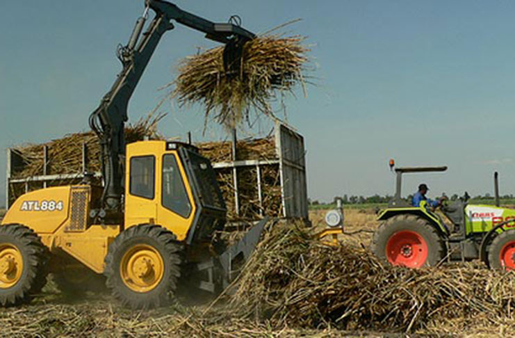 Private sector organisations are opposed to the closure of some non-performing sugar estates