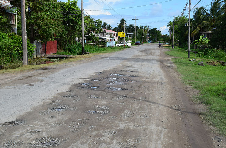 The current state of the main access road in the East Bank Berbice