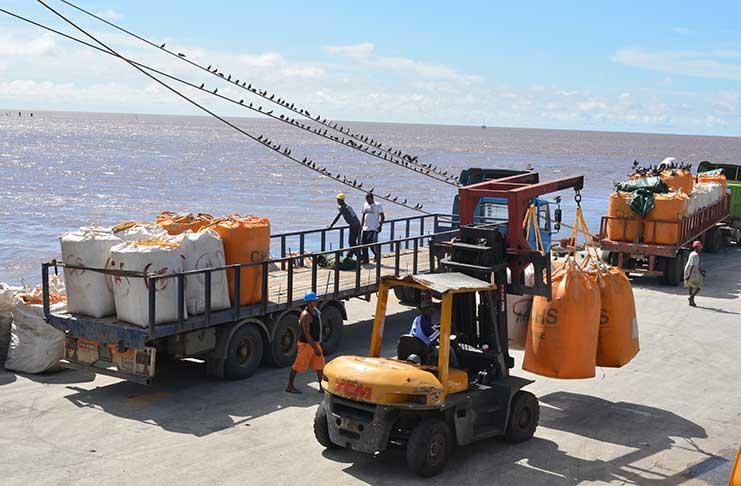 Paddy being offloaded from two of the many trucks that lined the John Fernandes Wharf on Friday (Rabindra Rooplall
photo)