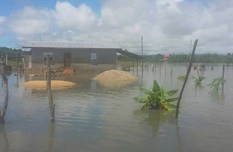 An area within Tabatinga, Region Nine, that is flooded (Richard Renie photo
