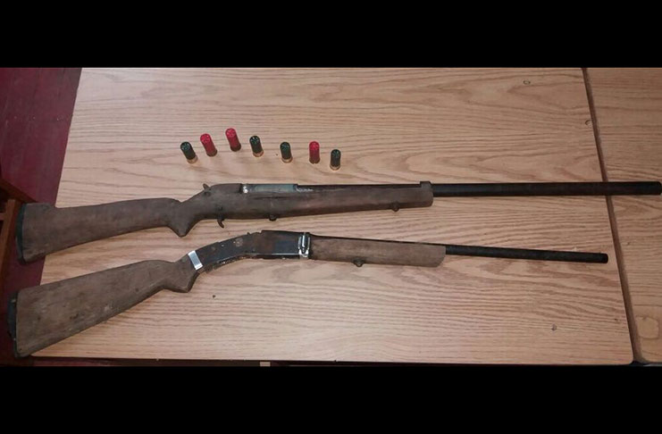 The shotgun and ammunitions that were seized
