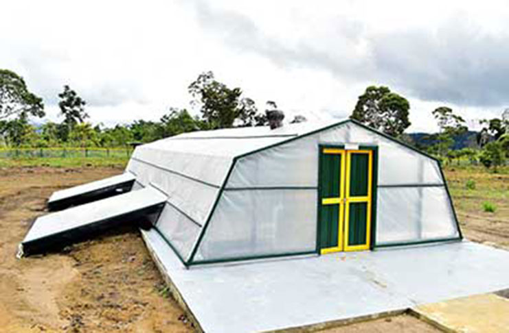 The tomato-drying facility at Paramakatoi, Region Eight