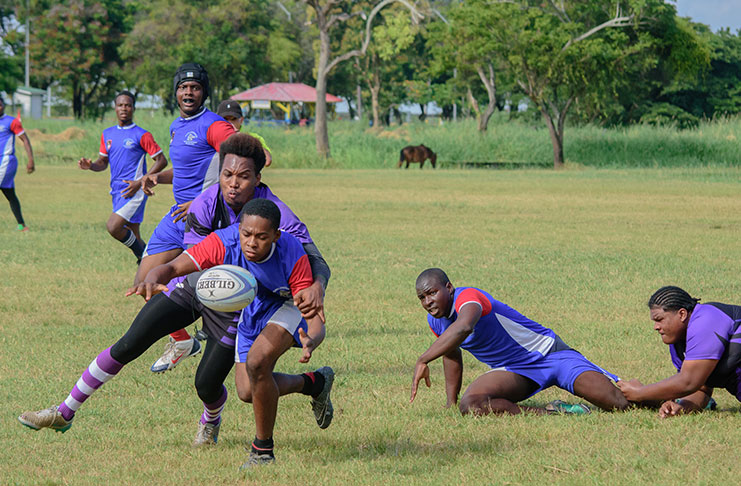 Guyana Chronicle photographer Samuel Maughn was present at the National Park yesterday to capture the action in the Trophy Stall 7's Rugby Tournament.