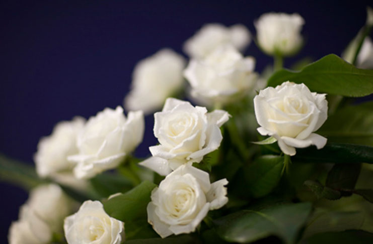 fflowers2