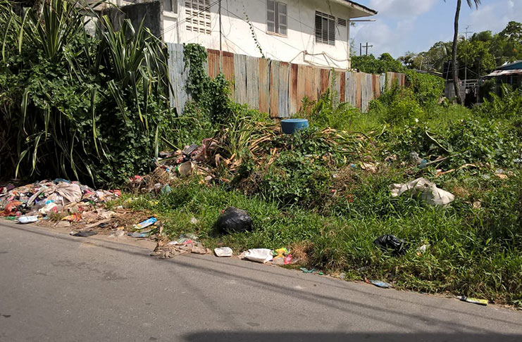 This empty lot located at Lot 105 Middle Road, La Penitence, is a haven for social rejects