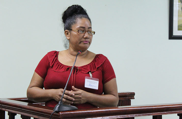 Claire Fowler as she addressed the commission on Monday morning (Photo courtesy LCOI)