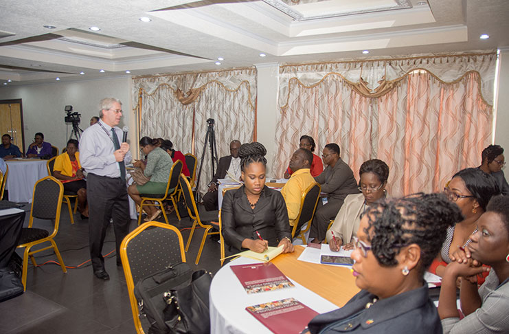 ILO representative Ryner Plitzer during discussions at Tuesday’s workshop at the Tower Hotel