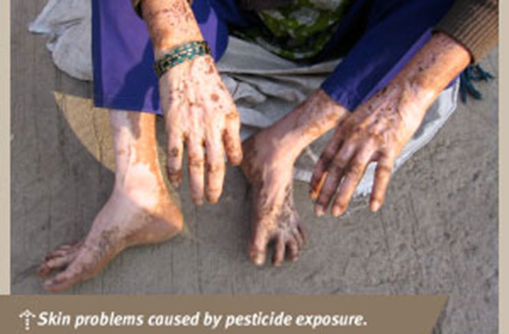A look at what can happen if chemical pesticides are used incorrectly (NAGT photo)