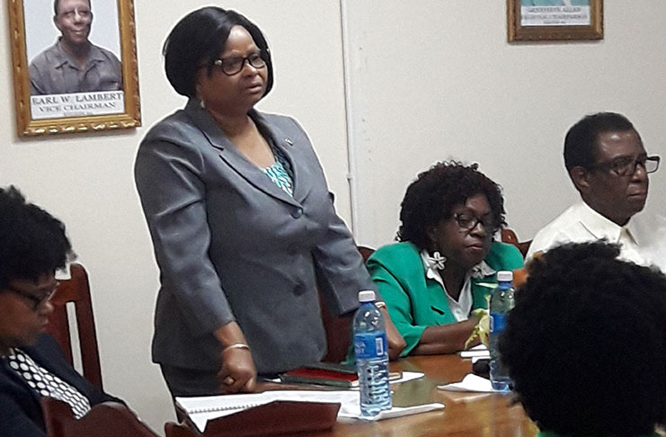 Public Health Minister Volda Lawrence addressing officials of the Region Four Democratic Council