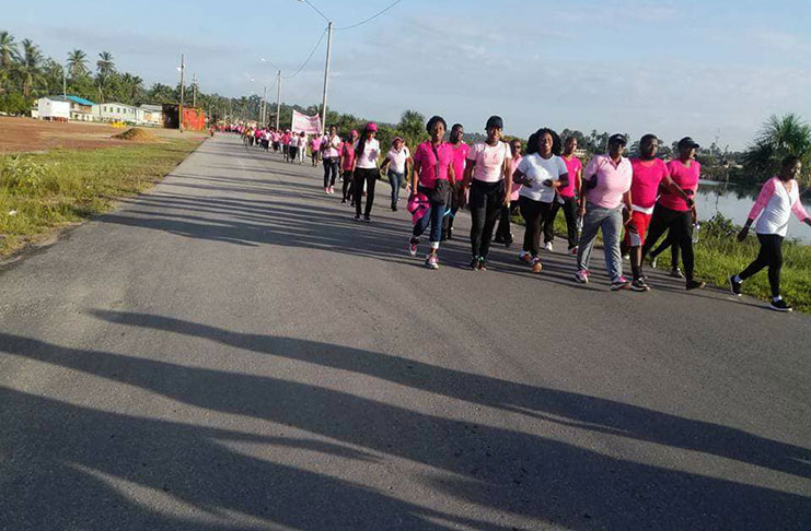 Lindeners during the walk held by the Women on the Move Cancer Awareness group