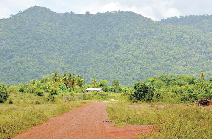 A road which leads to a section of the village of Aranaputa in the North Rupununi (Alva Solomon photo)