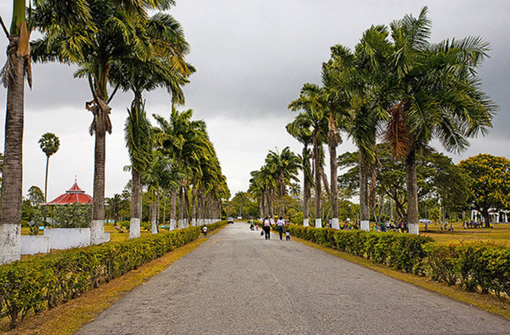 “The Botanical Gardens"
Photo Credit: Len Jackson, Guyana City Guide (guyanacityguide.com)